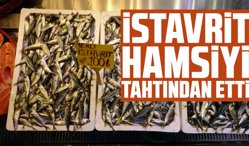 İstavrit hamsiyi tahtından etti
