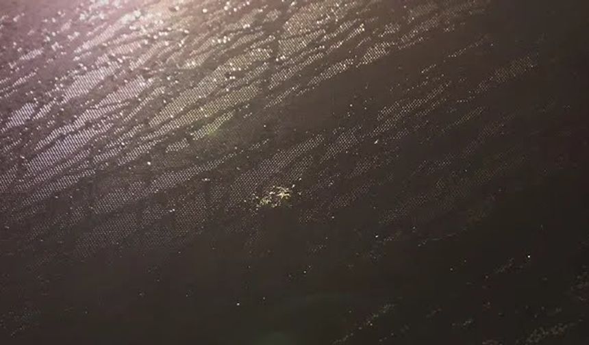 Trabzonspor takım otobüsüne Samsun'da taşlı saldırı!