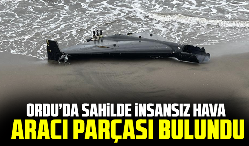 Ordu'da sahilde insansız hava aracı parçası bulundu