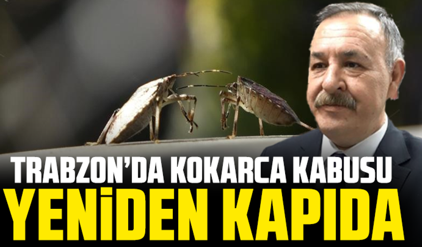 Trabzon’da Kokarca Kabusu Yeniden Kapıda