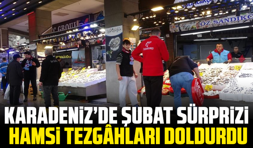 Karadeniz’de Şubat Sürprizi: Hamsi Tezgâhları Doldurdu