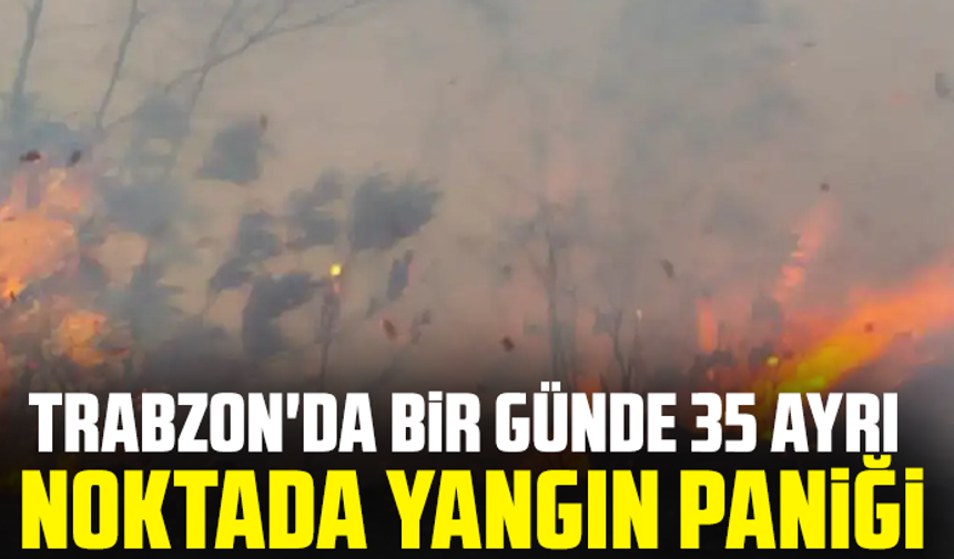 Trabzon'da bir günde 35 ayrı noktada yangın paniği