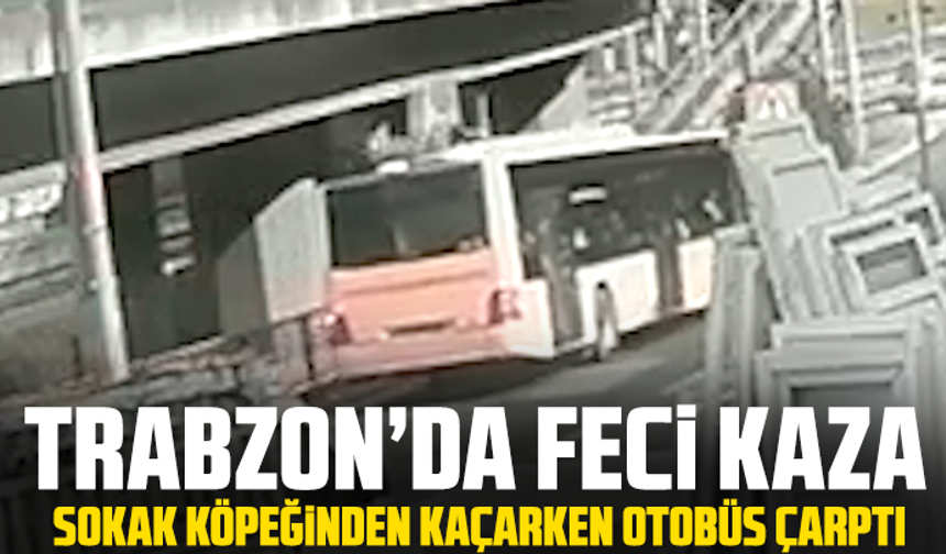 Trabzon’da Feci Kaza: Sokak Köpeğinden Kaçarken Otobüs Çarptı