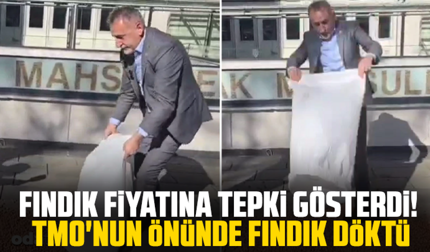 Fındık fiyatına tepki gösterdi! TMO'nun önünde fındık döktü