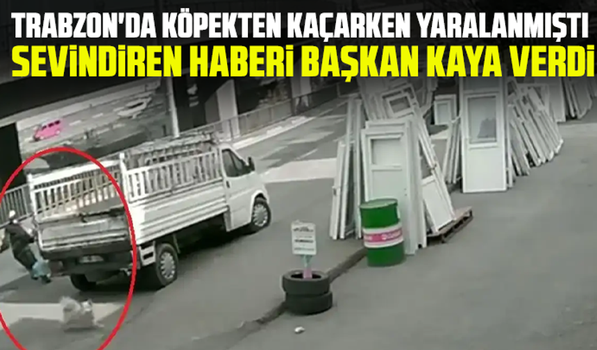 Trabzon'da köpekten kaçarken yaralanmıştı: Sevindiren haberi Başkan Kaya verdi