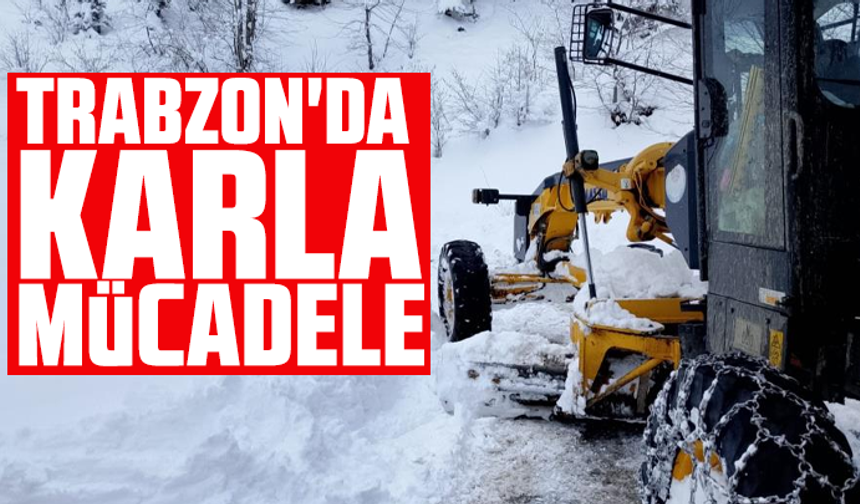 Trabzon'da karla mücadele sürüyor