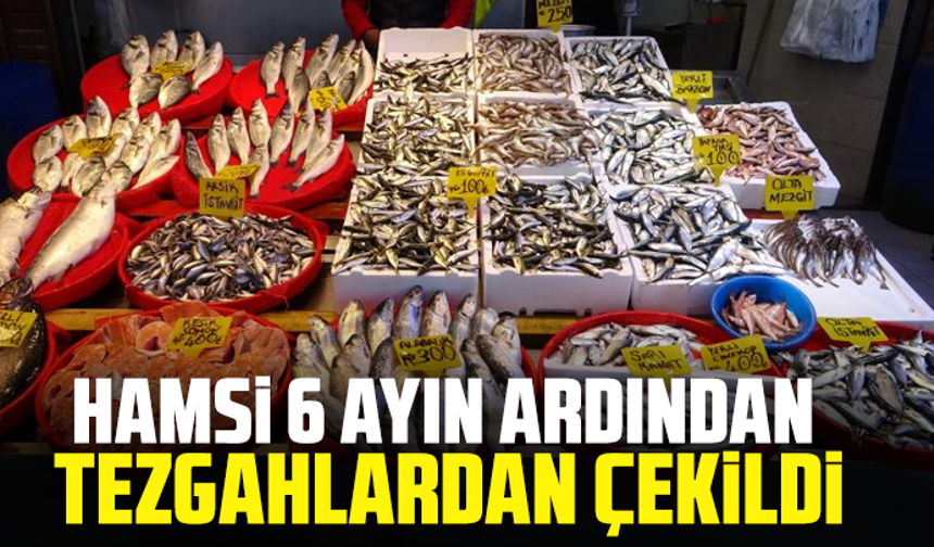 Hamsi 6 ayın ardından tezgahlardan çekildi
