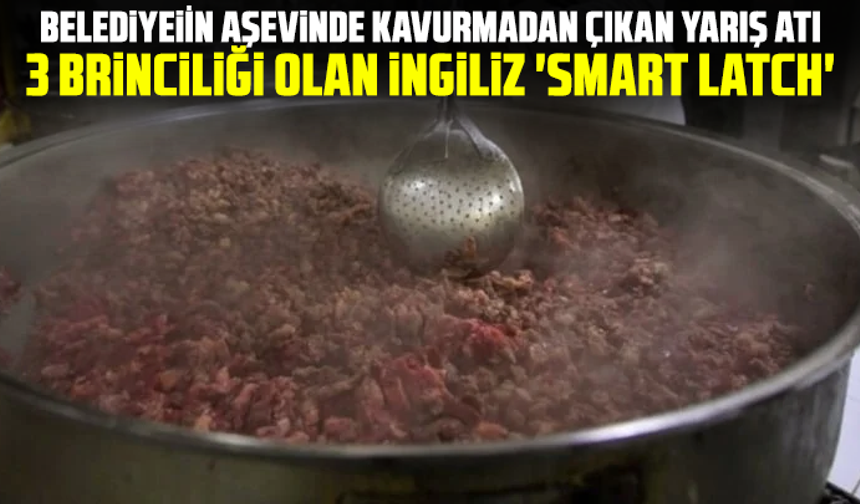 Belediyenin aşevinde kavurmadan çıkan yarış atı: 3 birinciliği olan İngiliz 'Smart Latch'