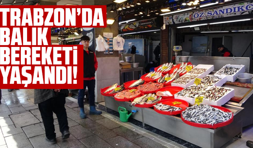 Trabzon’da Balık Bereketi Yaşandı!