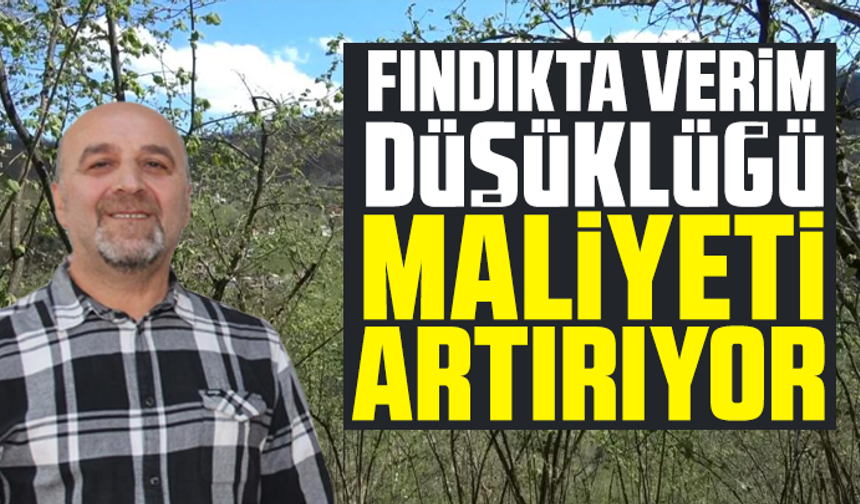 Fındıkta verim düşüklüğü maliyeti artırıyor