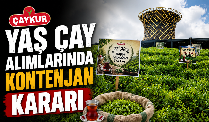 ÇAYKUR’dan yaş çay alımlarında kontenjan kararı