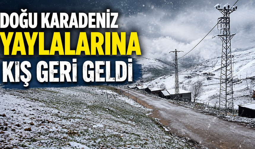 Doğu Karadeniz yaylalarına kış geri geldi
