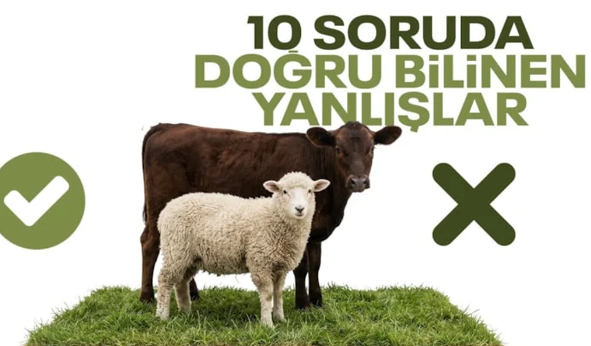 10 soruda kurban ibadeti: İşte doğru bilinen yanlışlar