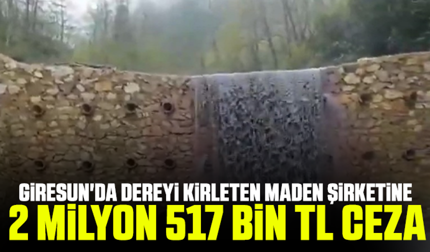 Giresun'da dereyi kirleten maden şirketine 2 milyon 517 bin TL ceza