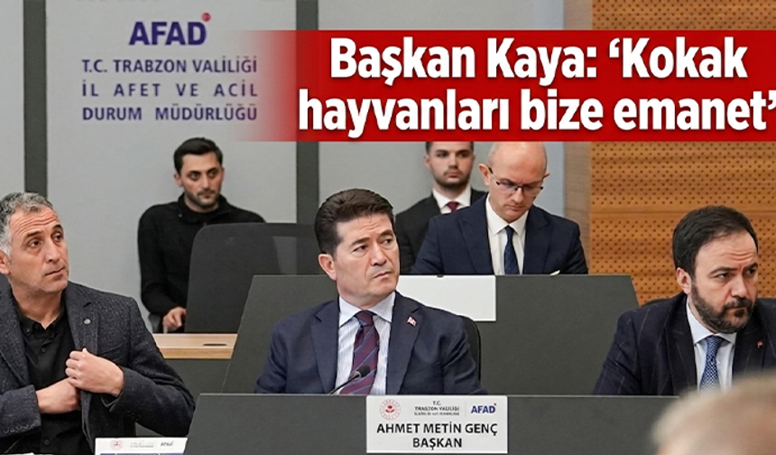 Başkan Kaya: “Kokak hayvanları bize emanet”