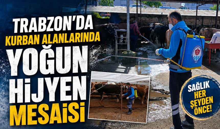 Trabzon’da kurban alanlarında yoğun hijyen mesaisi