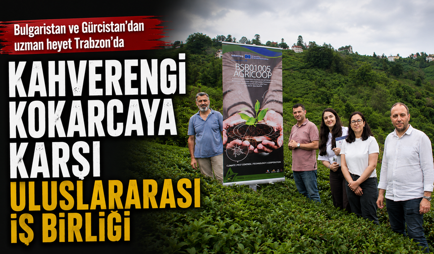 Kahverengi Kokarcaya Karşı Uluslararası İş Birliği