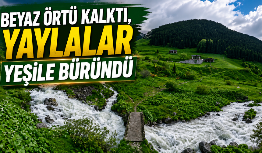 Beyaz örtü kalktı, Rize yaylaları yeşile büründü