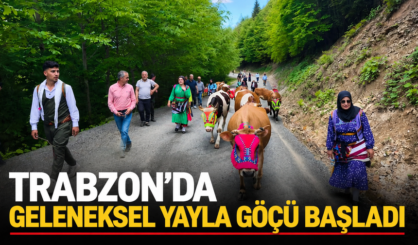Trabzon'da geleneksel yayla göçü başladı