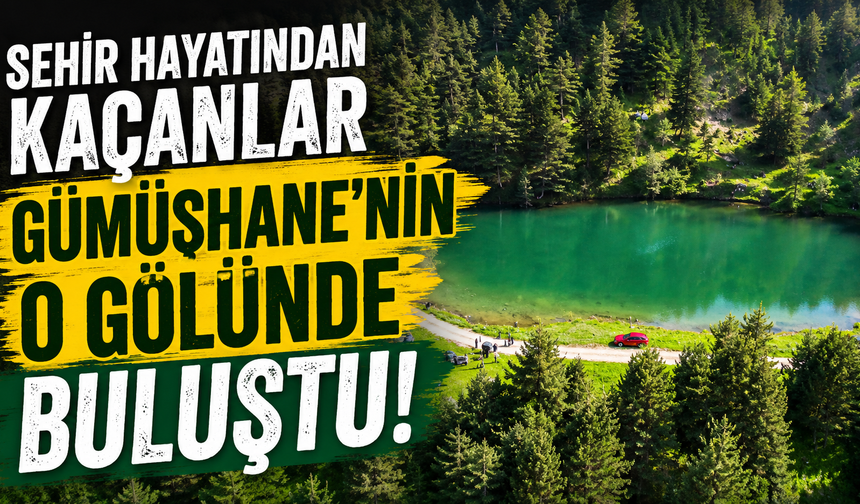 Şehir hayatından kaçanlar Gümüşhane'nin o gölünde buluştu