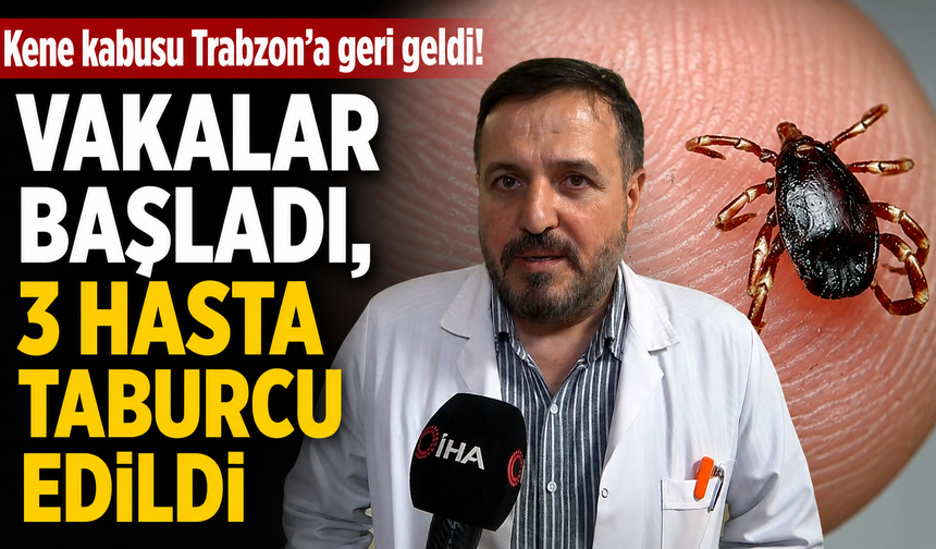 Kene kabusu Trabzon'a geri geldi! Vakalar başladı, 3 hasta taburcu edildi