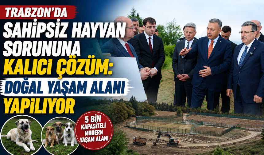 Trabzon’da Sahipsiz Hayvan Sorununa Kalıcı Çözüm: Doğal Yaşam Alanı Yapılıyor