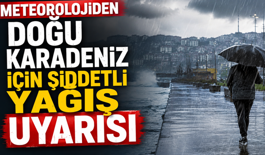 Meteorolojiden Doğu Karadeniz için şiddetli yağış uyarısı