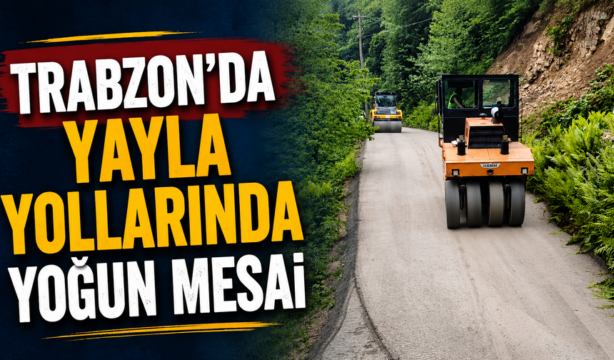 Trabzon'da yayla yollarında yoğun mesai