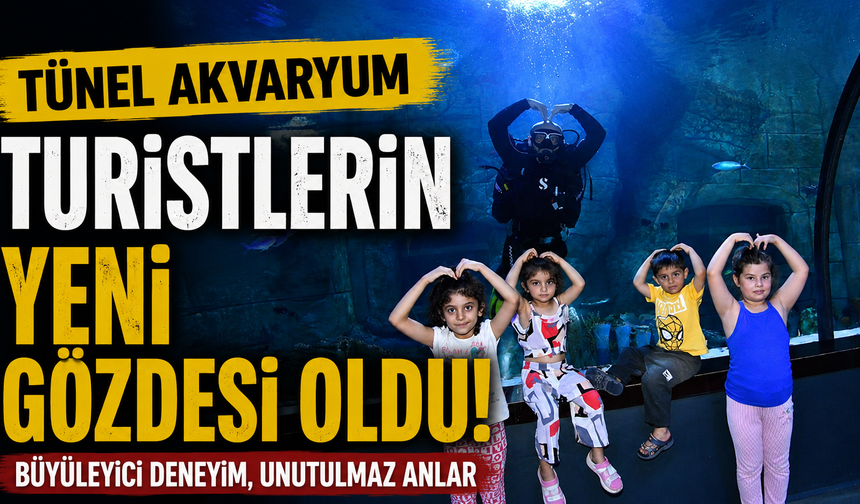 Tünel Akvaryum turistlerin gözdesi oldu