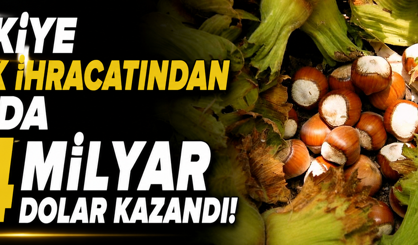 Türkiye fındık ihracatından 6 ayda 1,4 milyar dolar kazandı