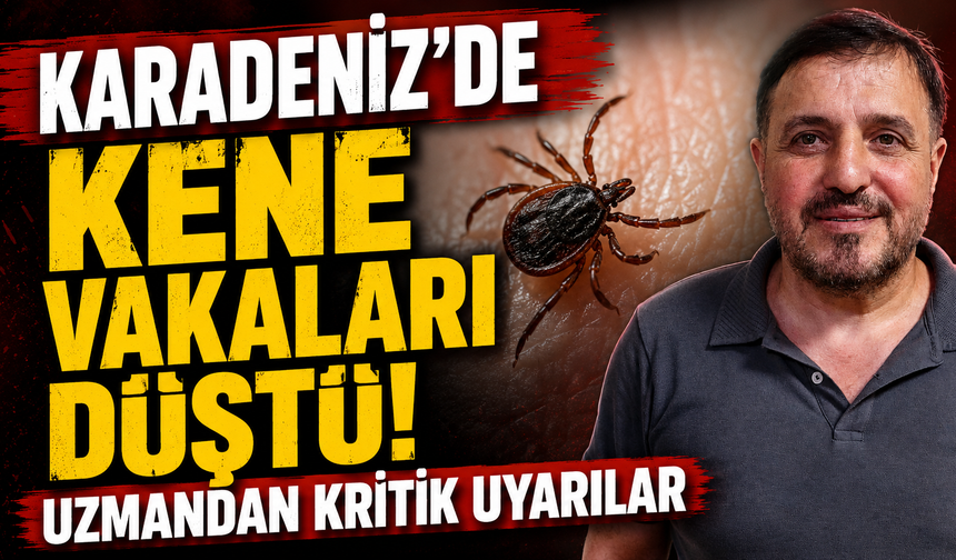 Karadeniz'de Kene Vakaları Düştü! Uzmandan Kritik Uyarılar
