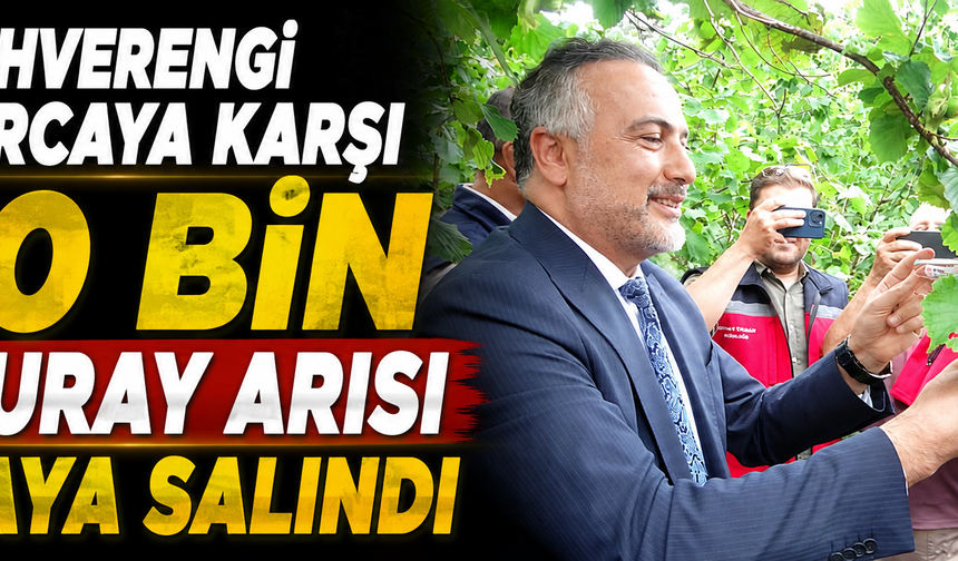 Kahverengi kokarcaya karşı 130 bin samuray arısı doğaya salındı