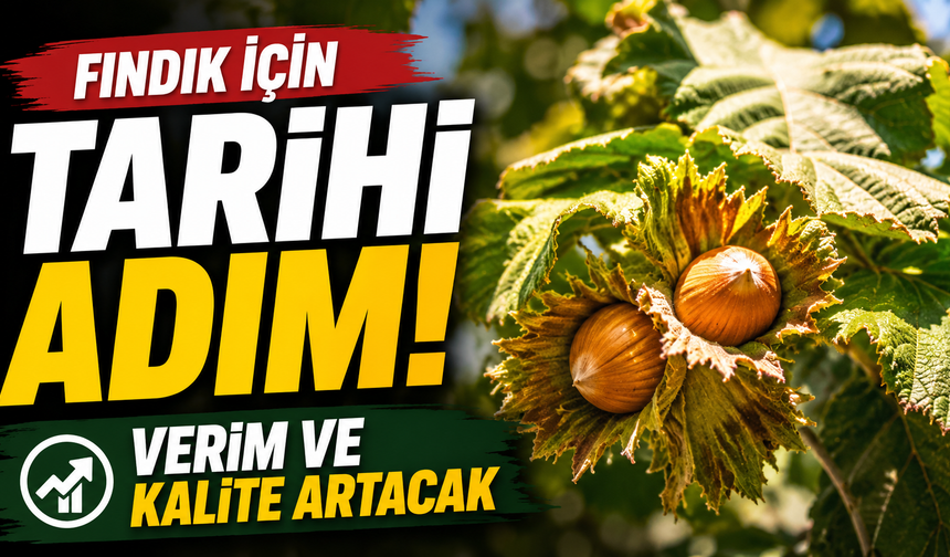 Fındık için tarihi adım! Verim ve kalite artacak