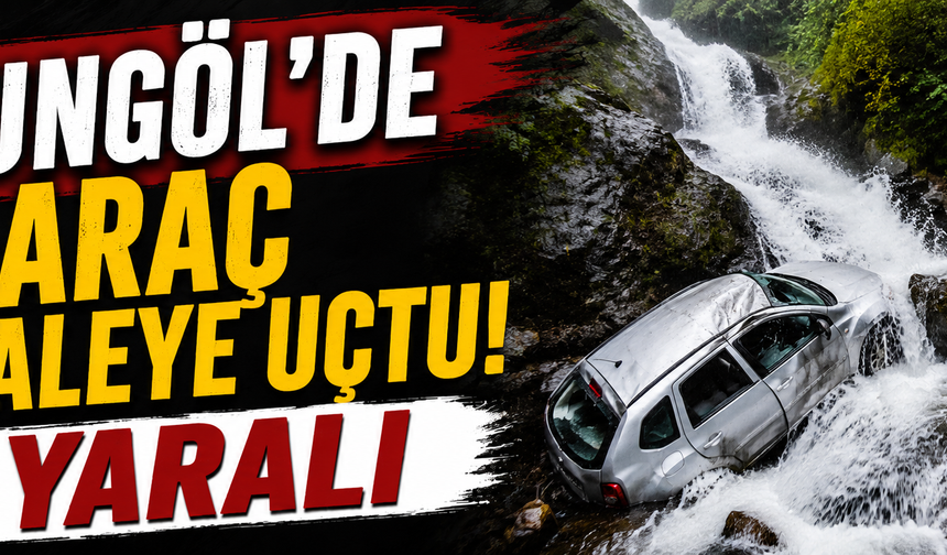 Uzungöl'de araç şelaleye uçtu: 1 yaralı