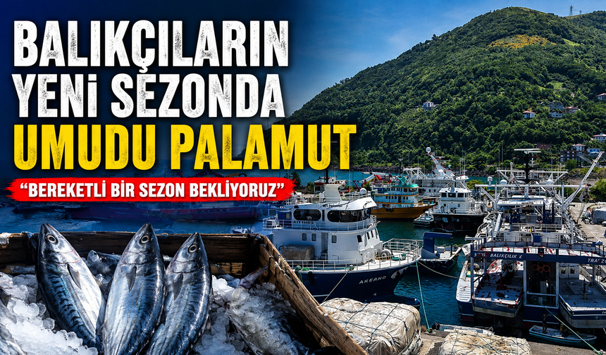 Balıkçıların yeni sezonda umudu palamut