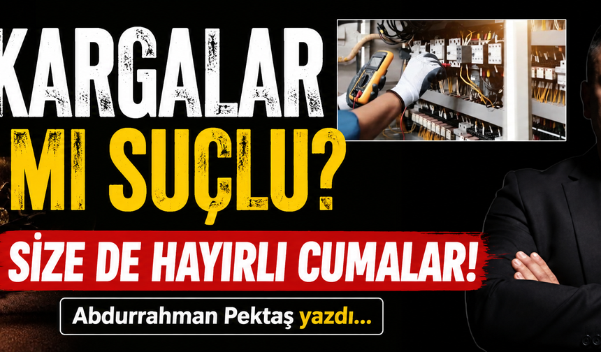 KARGALAR MI SUÇLU?