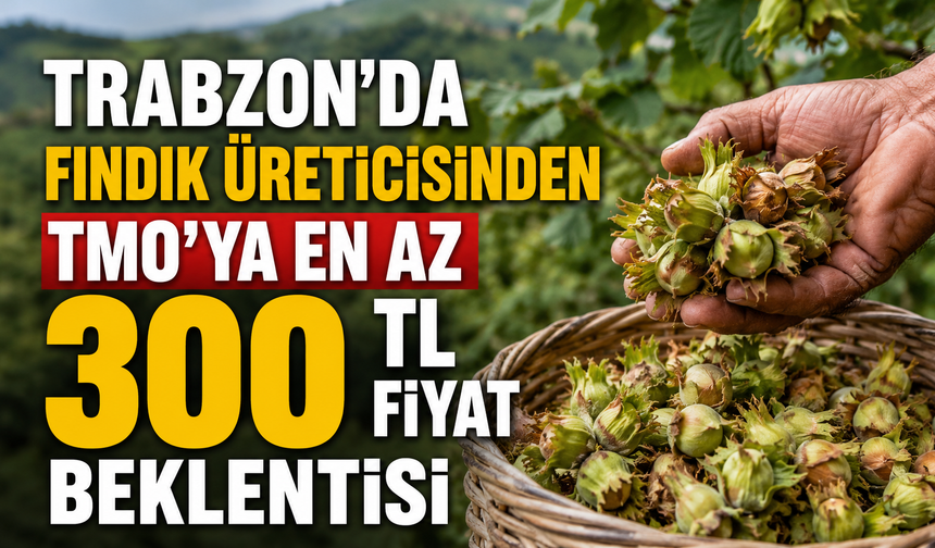 Trabzon’da fındık üreticisinden TMO’ya en az 300 TL fiyat beklentisi