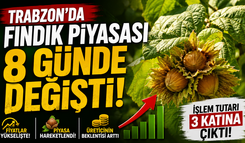 Trabzon’da fındık piyasası 8 günde değişti: İşlem tutarı 3 katına çıktı