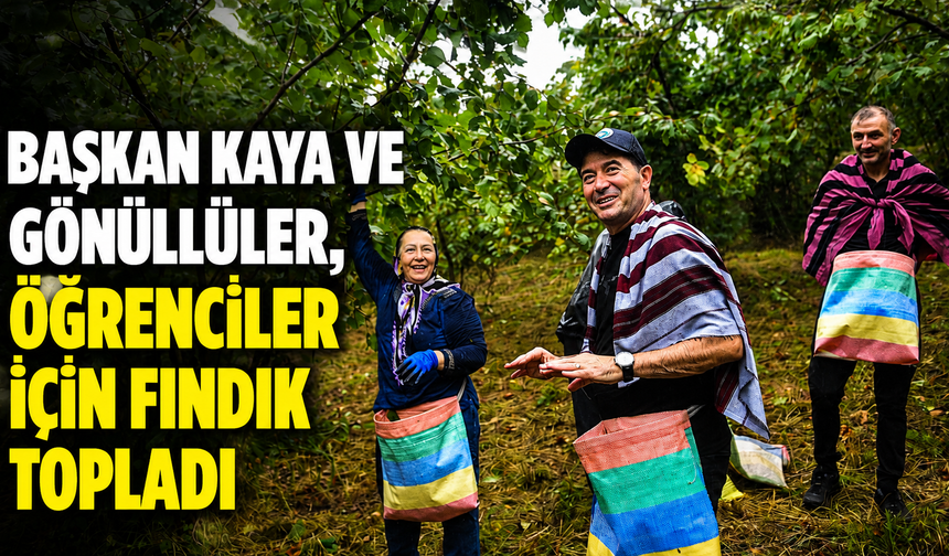Başkan Kaya Ve Gönüllüler, Öğrenciler İçin Fındık Topladı