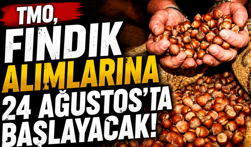 TMO, fındık alımlarına 24 Ağustos’ta başlayacak