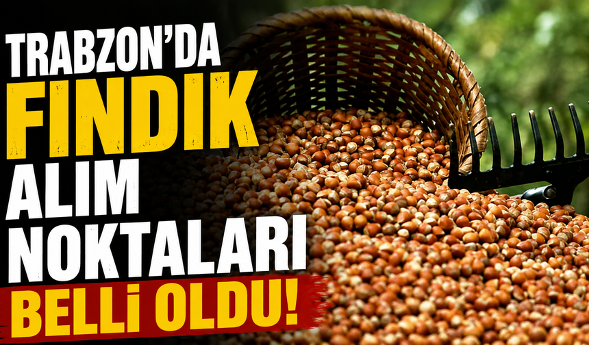 Trabzon’da fındık alım noktaları belli oldu