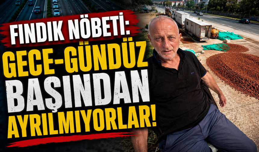 Fındık nöbeti: Gece-gündüz başından ayrılmıyorlar