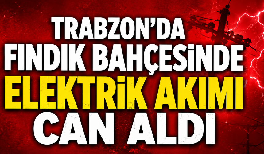 Trabzon'un Akçaabat ilçesinde bir kişi fındık bahçesinde elektrik akımına kapılarak hayatını kaybetti.