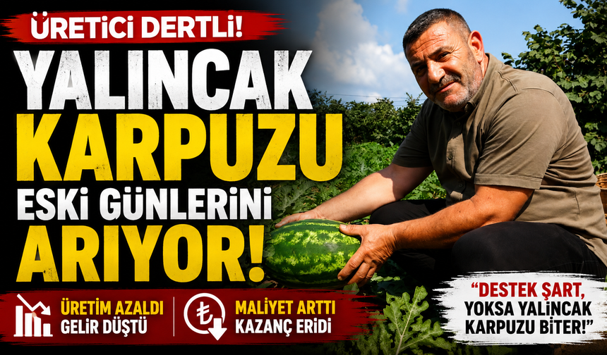 Yalıncak karpuzu üretimi eski günlerini arıyor