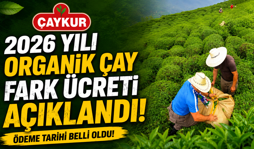 ÇAYKUR organik çay fark ücreti açıklandı! Ödeme tarihi belli oldu