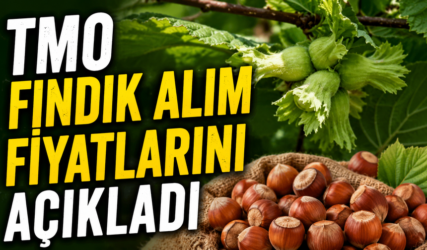 TMO fındık alım fiyatlarını açıkladı