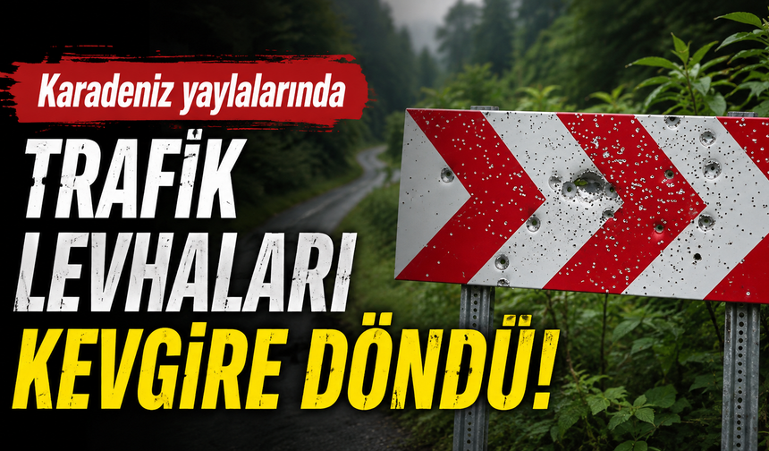 Karadeniz yaylalarında trafik levhaları kevgire döndü