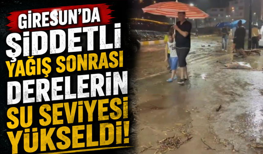 Giresun'da şiddetli yağışlar sonrası derelerin su seviyesi yükseldi
