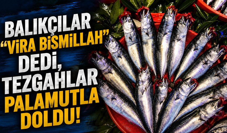 Balıkçılar "Vira Bismillah" dedi, tezgahlar palamutla doldu