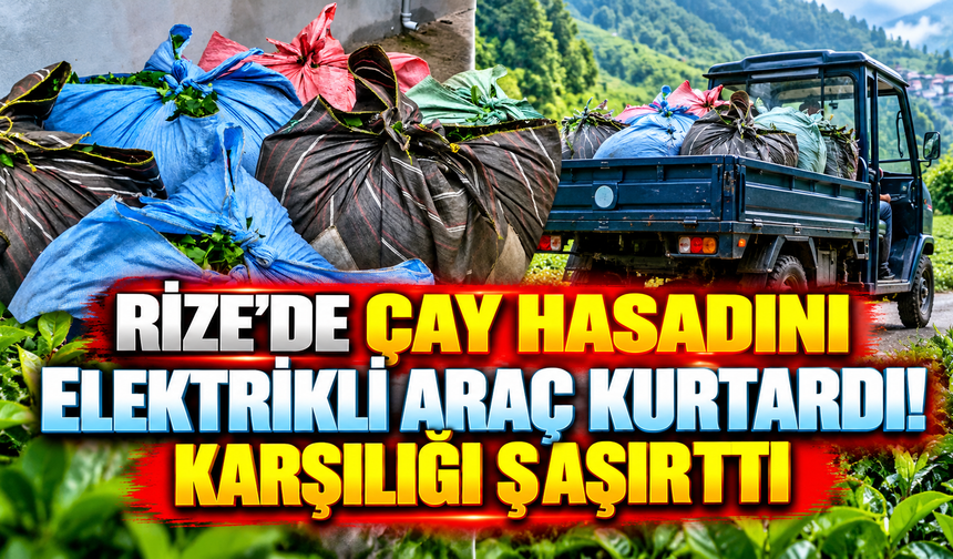 Rize’de çay hasadını elektrikli araç kurtardı! Karşılığı şaşırttı